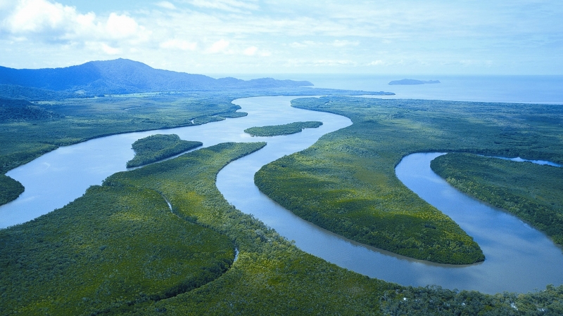 Cape Tripulation y Daintree River